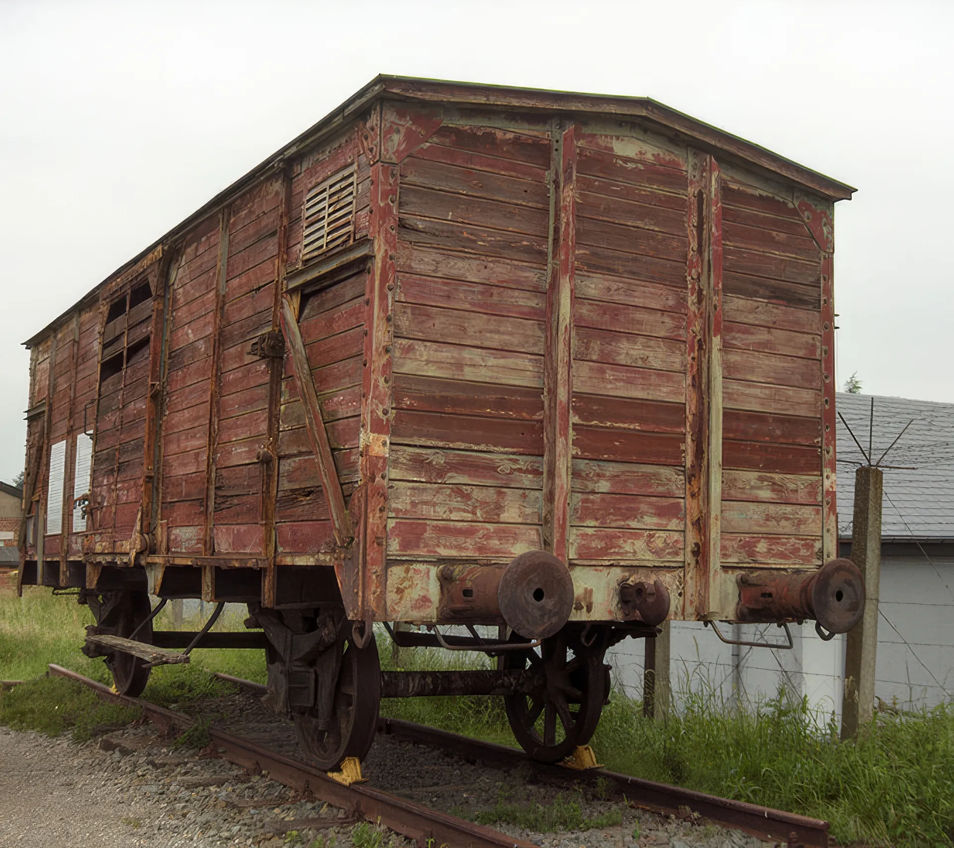 Cattle wagon or boxcar